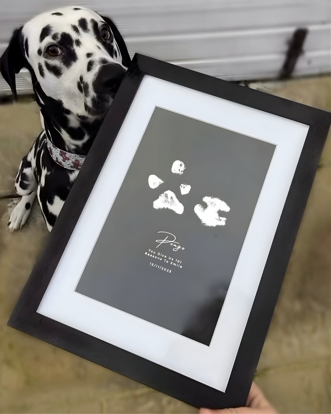 Foiled Pet Paw Print